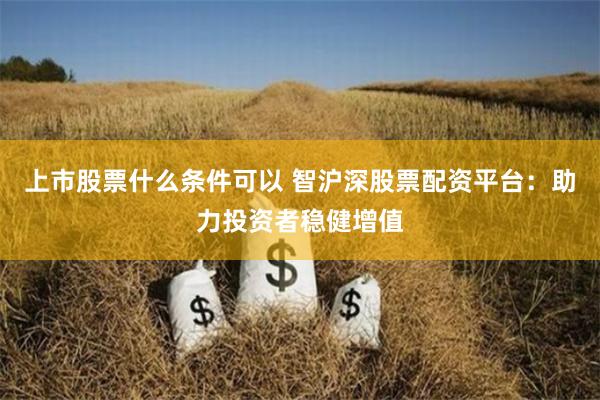 上市股票什么条件可以 智沪深股票配资平台：助力投资者稳健增值